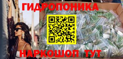 прущие грибы Кунгур