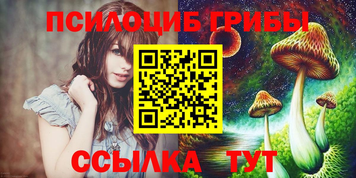Галлюциногенные грибы мицелий Камень-на-Оби